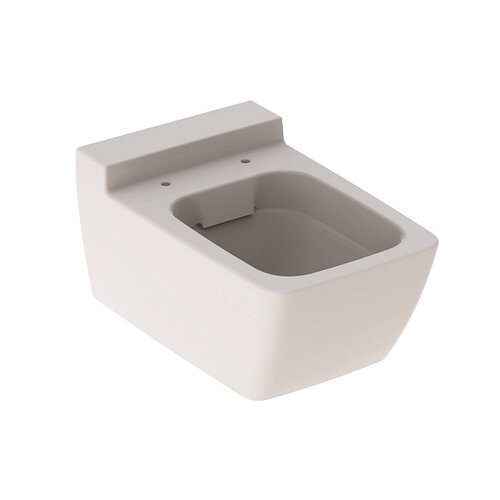 Чаша подвесного унитаза Geberit Xeno² Rimfree 500.500.01.1 (безободковый)