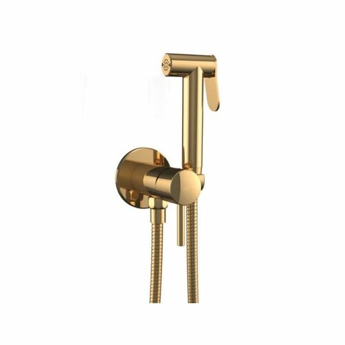 Гигиенический душ Teska Pulito (BTK68010) со смесителем,золото