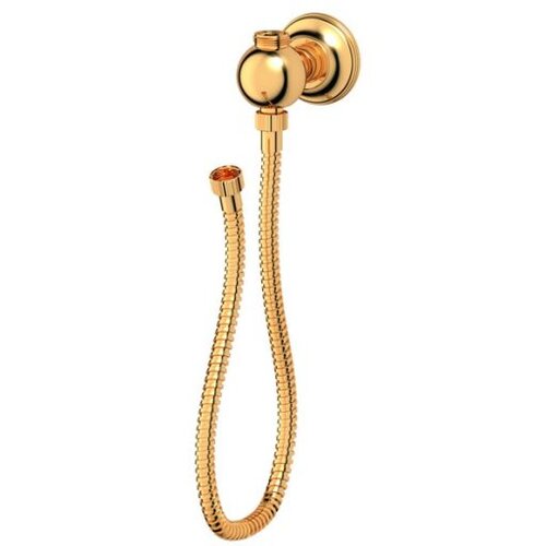 Переходник для подключения душевой колонны Ponsi Stilmar Gold (PON 399/2DC.AU), со шлангом (золото)