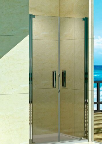 Душевой дверь Welt Wasser WW600 WW 600K2-120 (120x185) профиль хром/прозрачное стекло