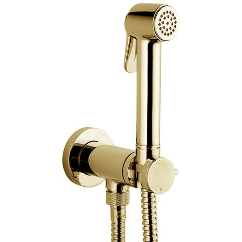 Гигиенический душ Bossini Paloma Brass (E37005B.021) золото