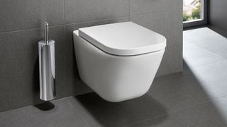 Чаша подвесного унитаза Roca Gap rimless 34647L000 безободковый