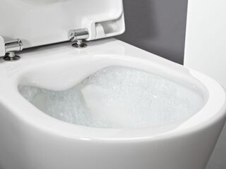 Чаша подвесного унитаза Laufen Pro New Rimless 8.2096.6.000.000.1 безободковая