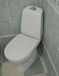 Унитаз напольный Gustavsberg Nautic Hygienic Flush (GB111500201205) безободковый (вертикальный выпуск)