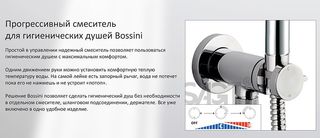 Гигиенический душ Bossini Nikita E37008B.022 со смесителем (бронза)