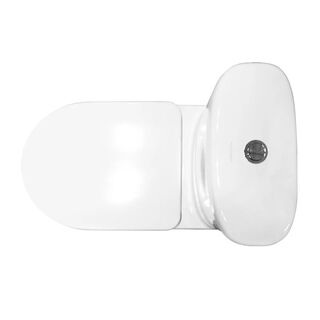 Унитаз напольный Sanita Luxe Art WC.CC/Art/2-DM/WHT.G/S1 с крышкой-сиденьем микролифт