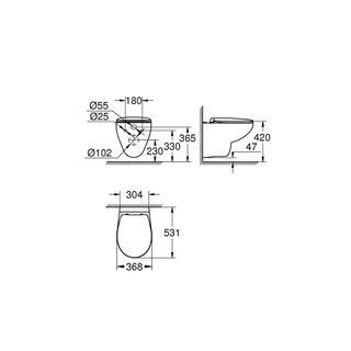 Унитаз подвесной Grohe Bau Ceramic 39351000 безободковый с крышкой микролифт