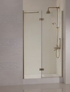 Душевая дверь Cezares Magic B-12-120-C-G-R