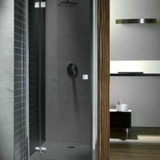 Душевая дверь Radaway Almatea DWJ 110 (31402-01-05N) стекло графит