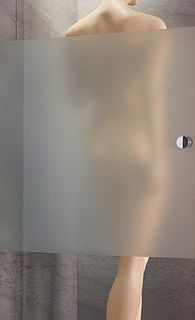 Душевой уголок Radaway Eos PDD 90 (37603-01-12N) стекло интимато