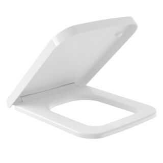 Крышка-сиденье Villeroy & Boch Finion 9M88S1R1 микролифт