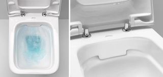 Чаша подвесного унитаза Geberit Renova Nr.1 Plan Rimfree 202170000 безободковый