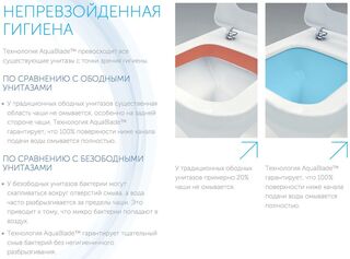 Инсталляция Ideal Standard Prosys (T387301) в комплекте с унитазом Esedra (T386001) безободковый микролифт
